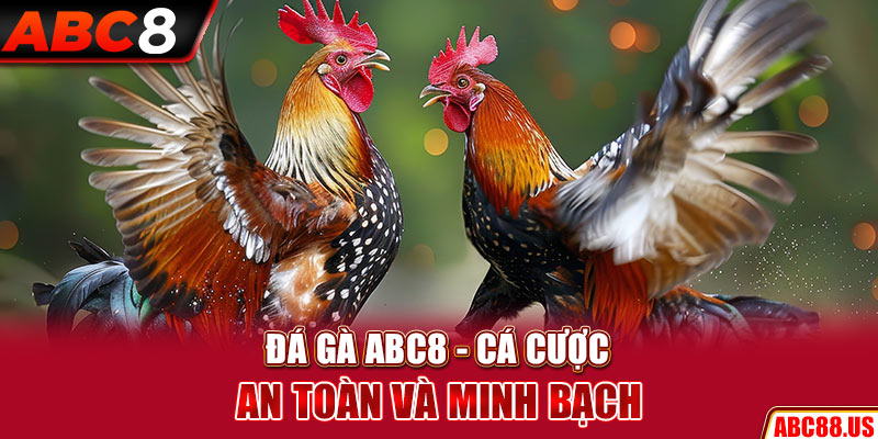 Tìm hiểu sơ lược về đá gà ABC8